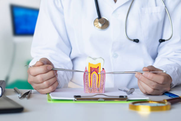 Best Emergency Wisdom Teeth Removal in Byrdstown, TN